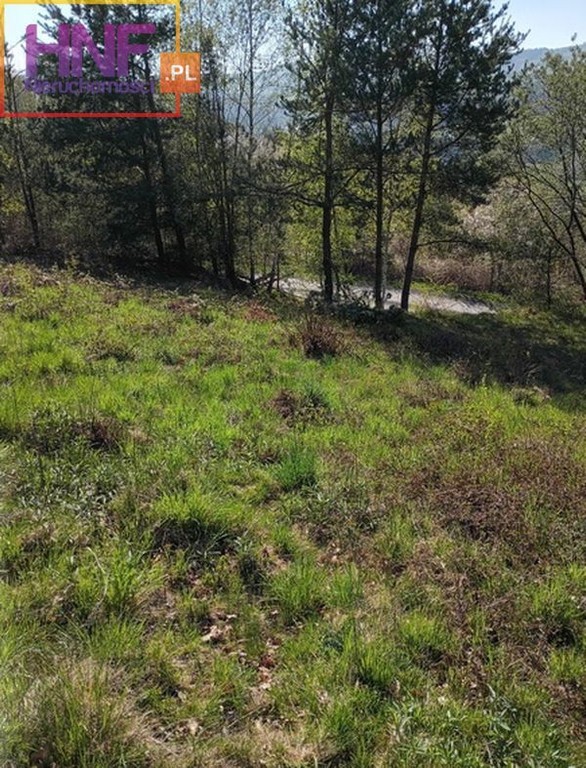 Działka budowlana Gródek Nad Dunajcem 6,75ar - Widok 5