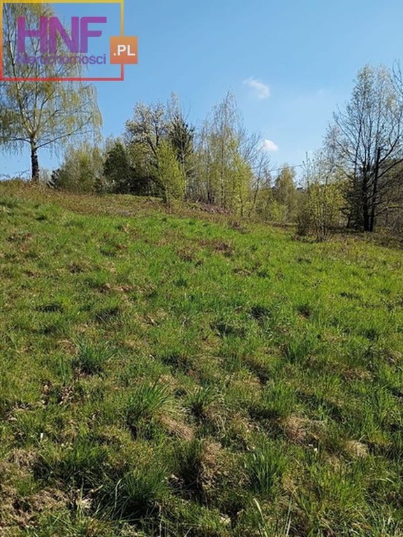 Działka budowlana Gródek Nad Dunajcem 6,75ar - Widok 6
