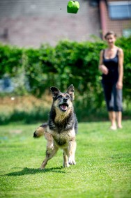 LEO: chodź się poznamy, łapki sobie podamy-2