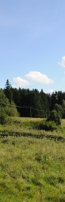 Mazury  duża działka rolno-leśna z domem i zabudowaniami, 20 km Mrągowo i Reszel-4