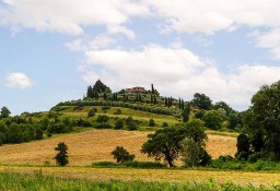 Dom Castiglione Del Lago