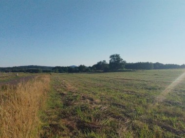 Działka na sprzedaż w Modliszowie gm.Świdnica-1