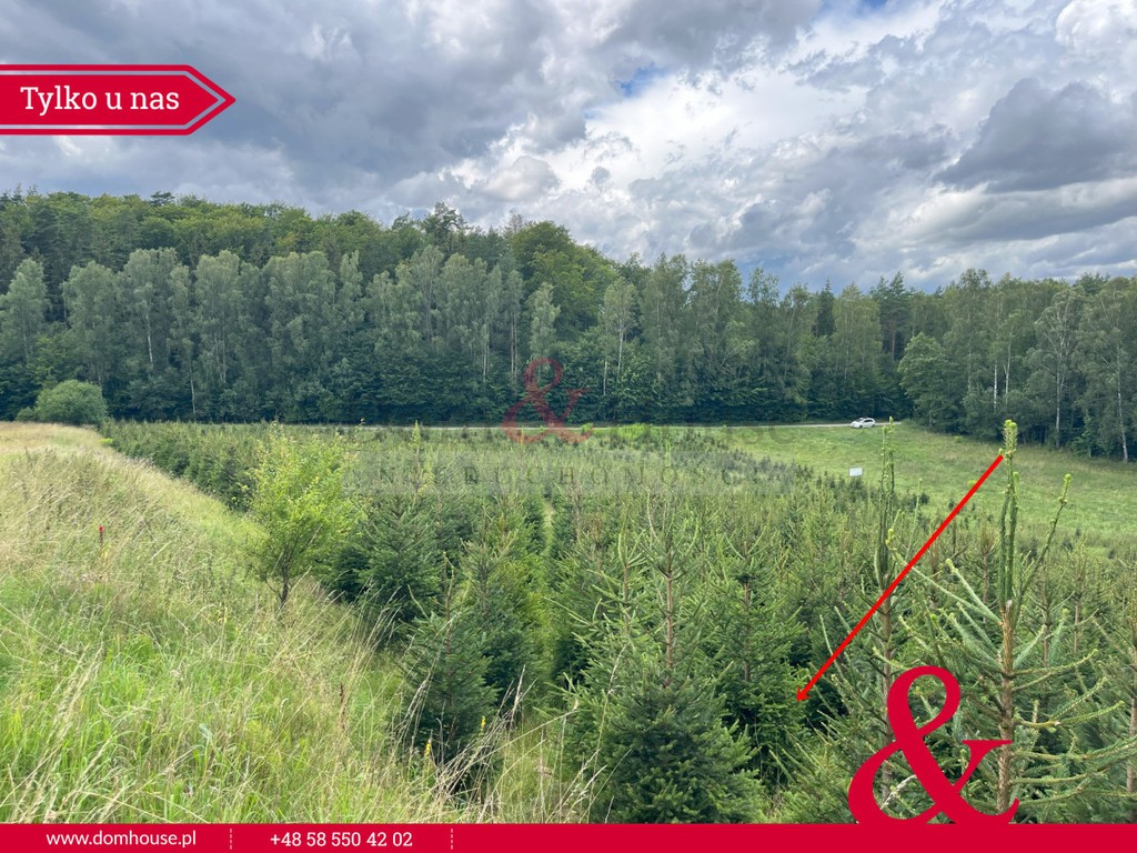 Działki na Kaszubach z granicą Lasu, kartuski