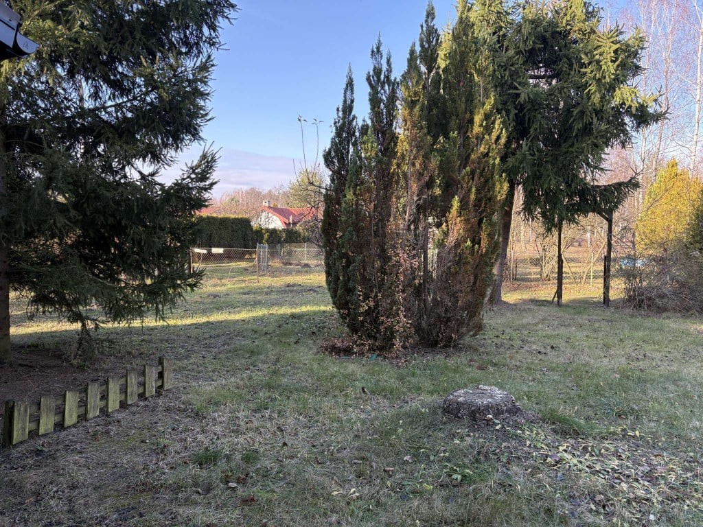 Działka rekreacyjna 317 m² z domkiem letniskowym | Stare Budy - Widok 6