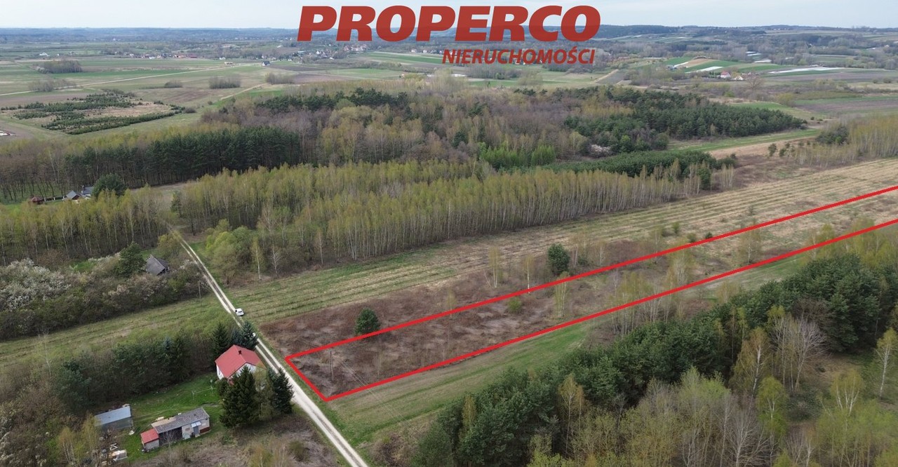 Działka 5797 m², warunki zabudowy, Zołcza Ugory, buski