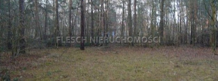 Działka leśna Otrębusy-1