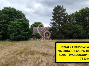 Działka ze starym domem w Domasławicach - 7652m2-1