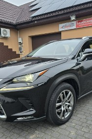 Lexus NX NX 14- NX 300h Elegance Optimum AWD 4x4 2.5 HYBRID Salon PL Serwis ASO FV 2-2