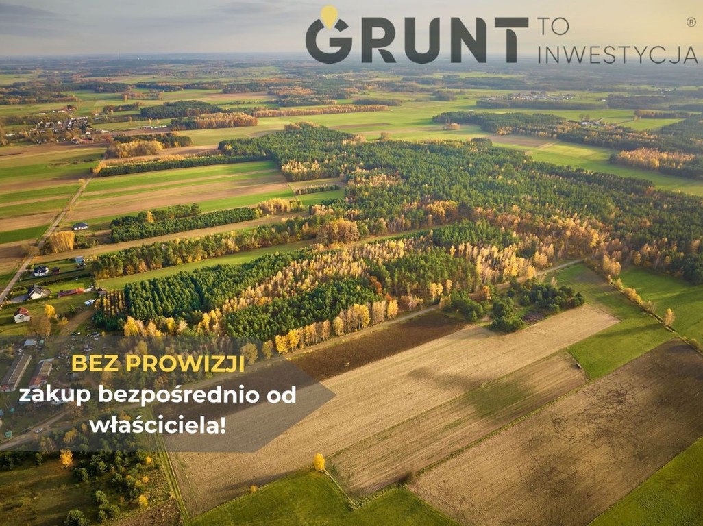 Działki w sąsiedztwie lasu - Widok 2