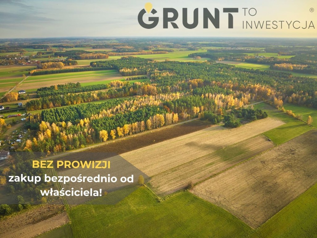 Działki w sąsiedztwie lasu - Widok 4