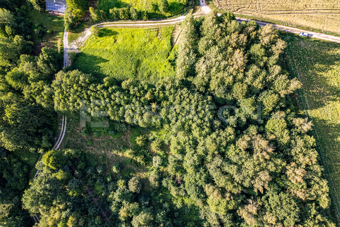 Piękna działka Nowy Borek 1,2397 ha WZ w trakcie, Błażowa