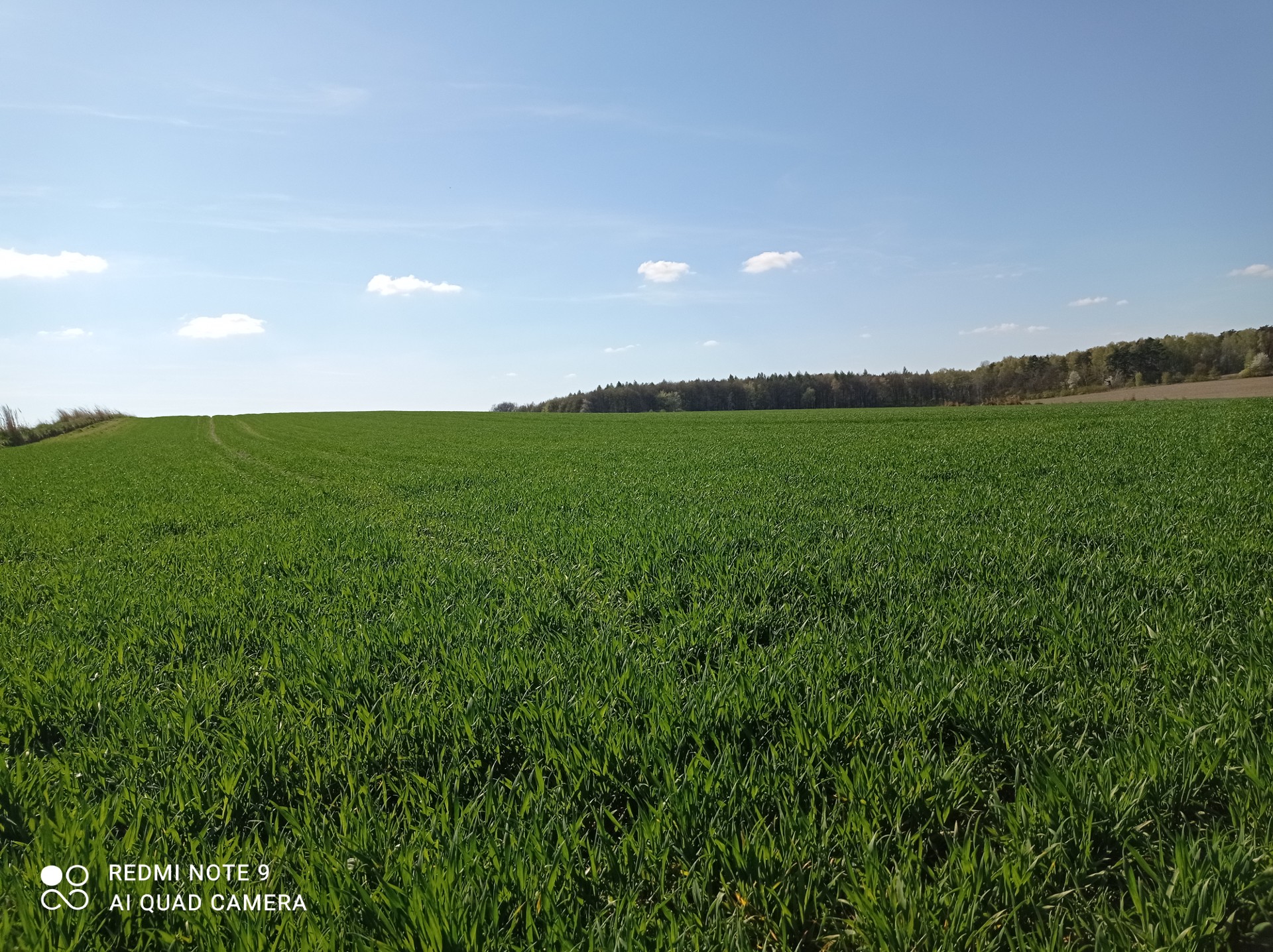 Sprzedam działkę rolną z potencjałem 3212 m² - Widok 4