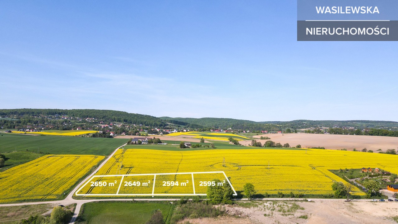 Teren inwestycyjny 26,5 a - 1 ha / MPZP pod usługi - Widok 3