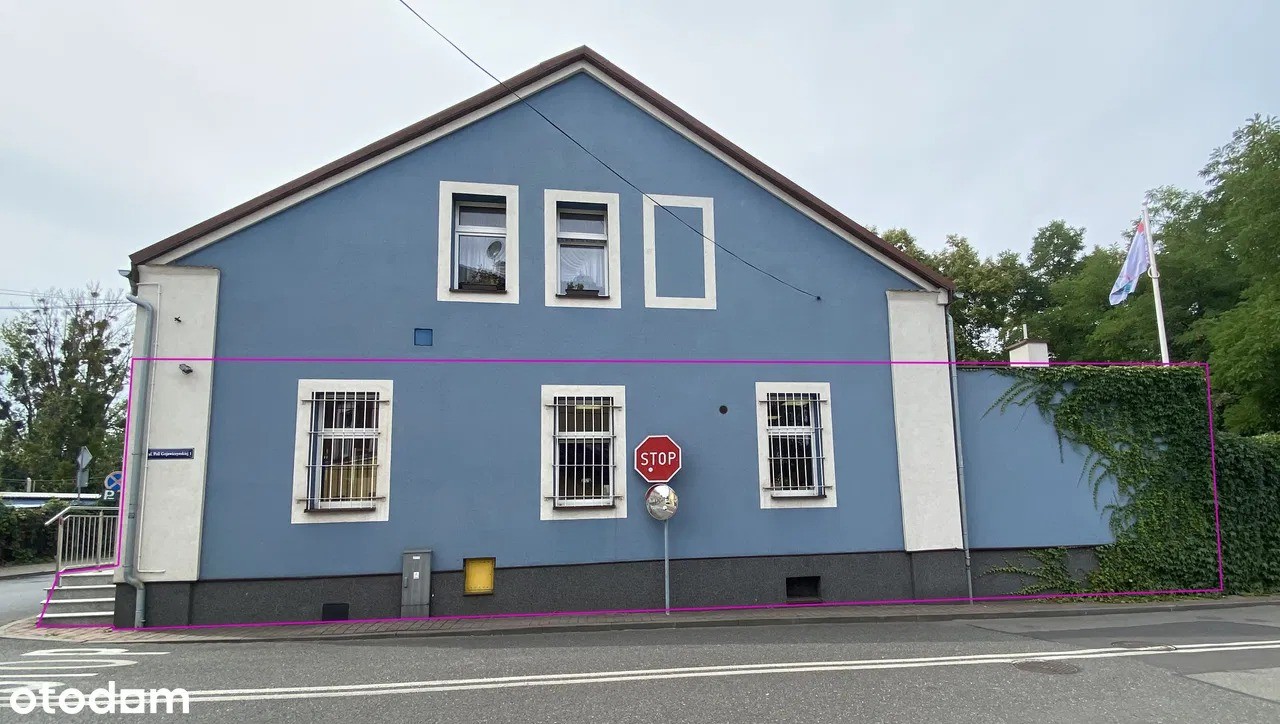 Lokal, biuro, mieszkanie 219 m² Gliwice-Łabędy. 219 m² Firma, kiedyś Apteka - Widok 2