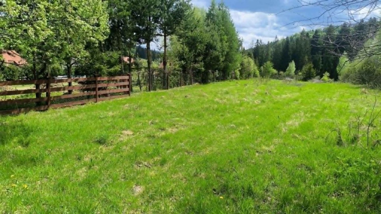 DziaŁka Rolna 49 ar Pod Lasem - Widok 2