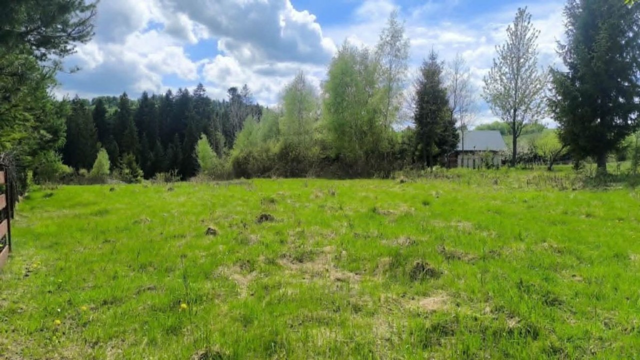 DziaŁka Rolna 49 ar Pod Lasem - Widok 3