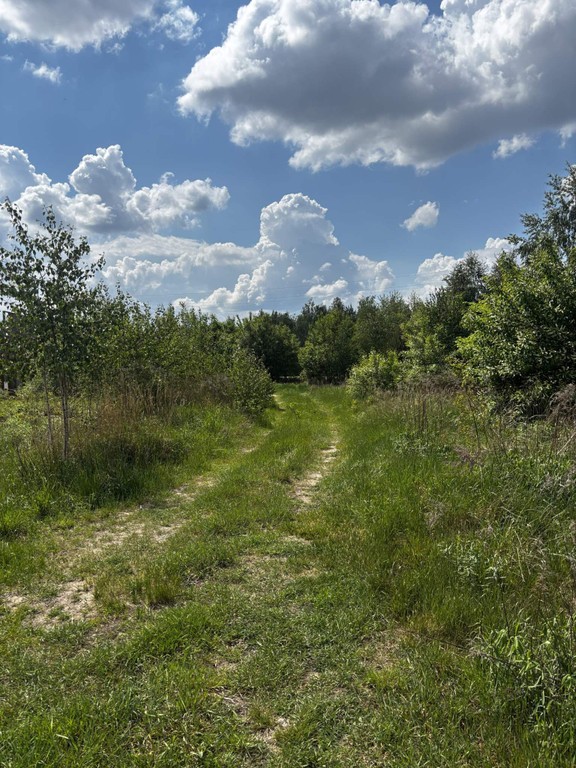 Działka budowlana Grądy – další