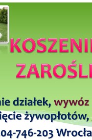 Usługi ogrodnicze, Wrocław, tel. sprzątanie działki, działek-2