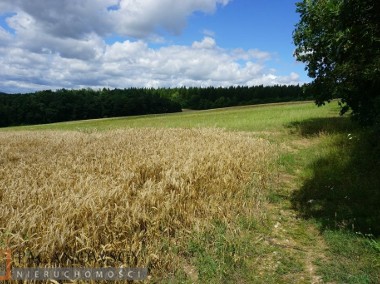 Działka rolna Karniowice-1