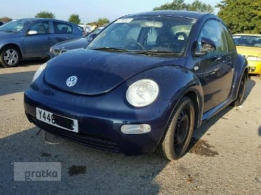 Volkswagen Beetle anglik-1