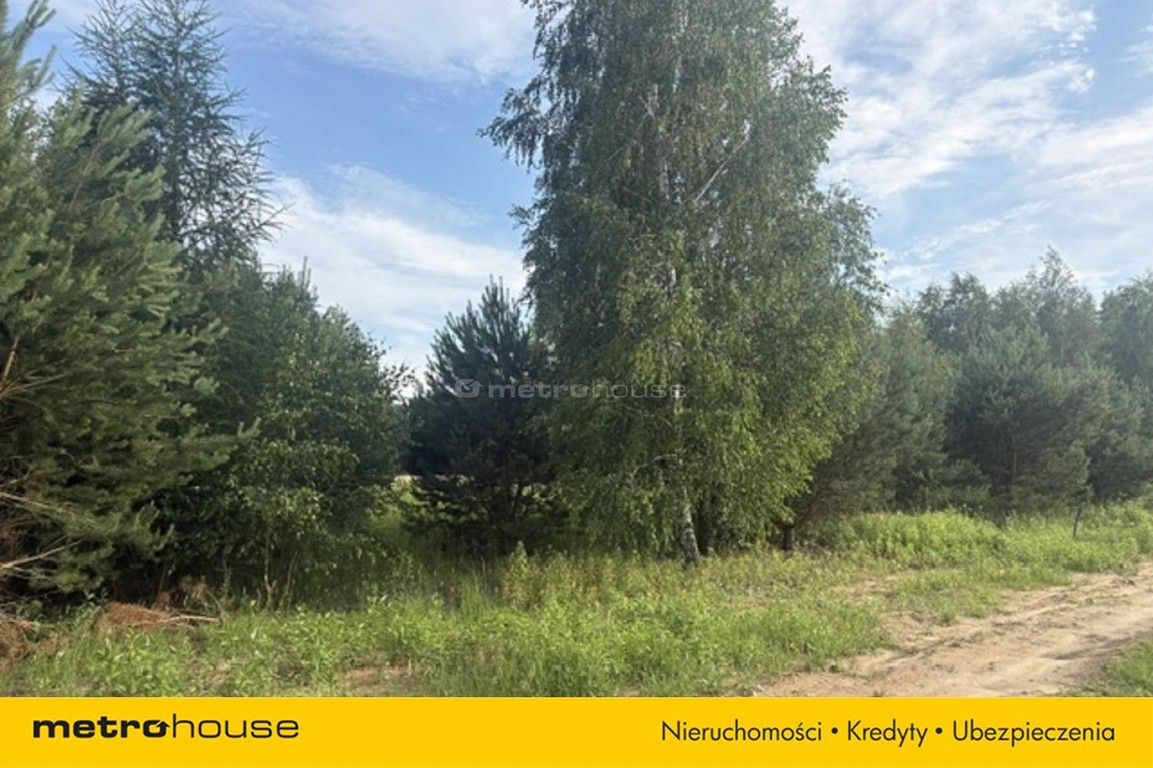 Działka budowlana 1000 m² w miejscowości Szadki - Widok 3