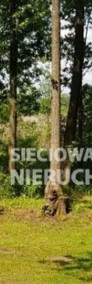 Atrakcyjna działka leśna 3000m2, Piece/Trzechowo-4