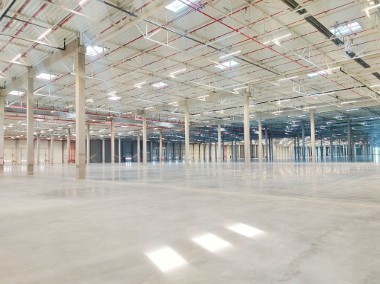 Do wynajęcia magazyn 3500m2 w Lesznowoli-1