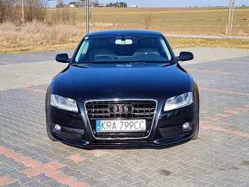 DOINWESTOWANY EGZEMPLARZ