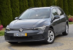 Volkswagen Golf VIII 2.0 TDI DSG VirtualCokpit Ambiente ACC Navi Radar SerwisASO