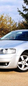 Audi A3 II (8P) 1.6 benzyna, Super Zadbany!-3