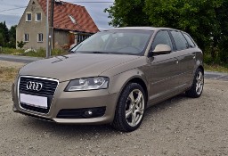 Audi A3 II (8P) Navi/Bose/Mega Stan/Zarejestrowany