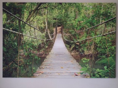 Obraz na płótnie Tajlandia most las 120x80-2