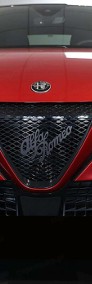 Alfa Romeo Ibrida Ti 1.2 Ibrida Ti (145KM) Kamera cofania + tempomat aktywny-3