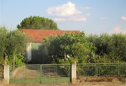 Dom Penamacor, Castelo Branco