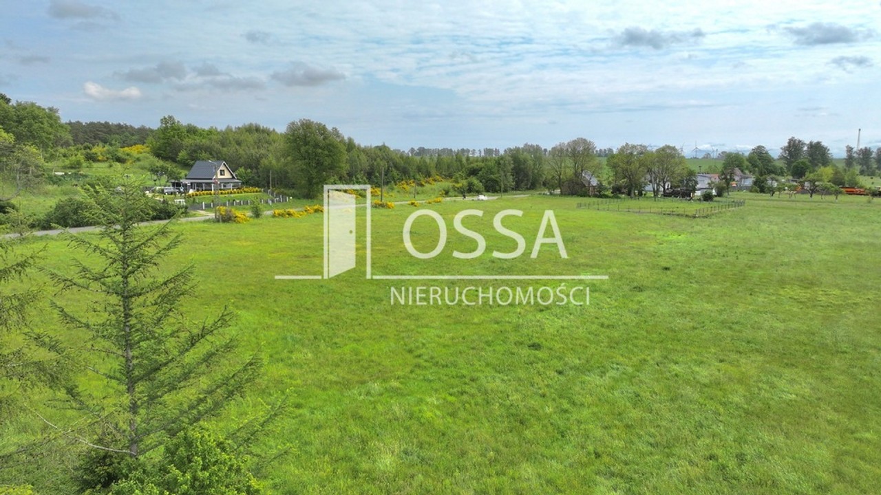 Działki budowlano-usługowe | 10km od Łeby - Widok 6