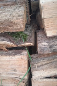 Sezonowane drewno dębowe do kominka i na opał-2