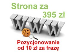 POZYCJONOWANIE stron Poznań tworzenie stron WWW strony internetowe strona