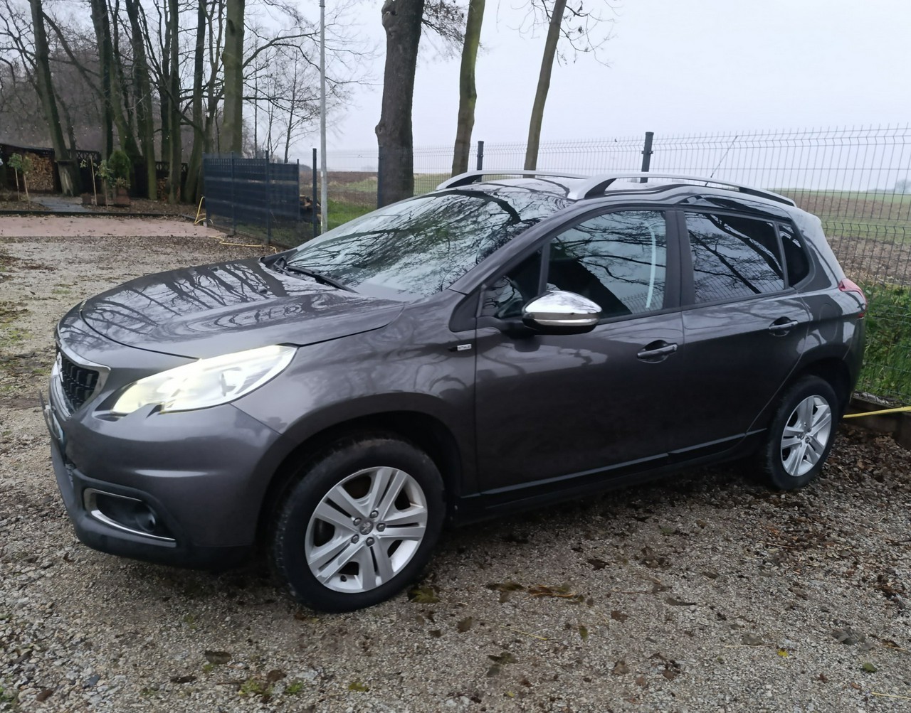 Peugeot 2008 2008 Style 80tys.km Lift