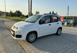 Fiat Panda III Bardzo zadbany/Światła do jazdy dziennej/Klima sprawna/Bezwypadkowy