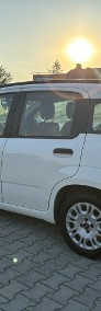 Fiat Panda III Bardzo zadbany/Światła do jazdy dziennej/Klima sprawna/Bezwypadkowy-3