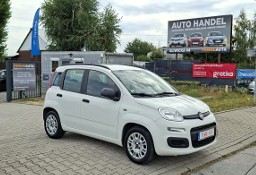 Fiat Panda III Bardzo zadbany/Światła do jazdy dziennej/Klima sprawna/Bezwypadkowy