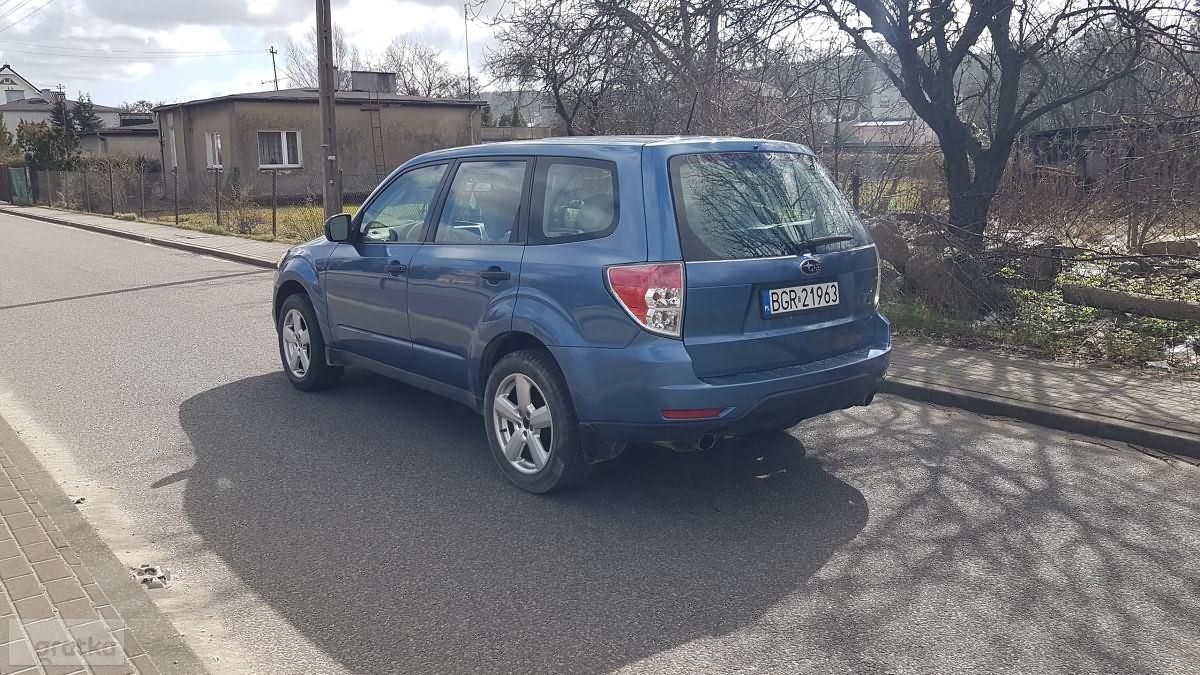 Subaru Forester Gratka.pl Oferta archiwalna