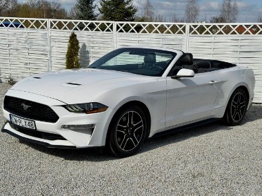 Ford Mustang VI-1