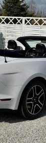 Ford Mustang VI-3