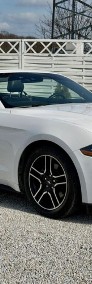 Ford Mustang VI-4