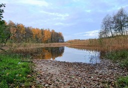 Działka leśna Piasutno