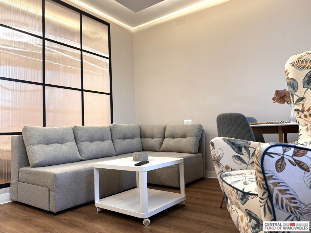 Przestronny Umeblowany Apartament obok Galerii Łódzkiej - Sienkiewicza 115 - Widok 3