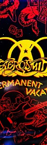 Polecam Rewelacyjny Album CD Aerosmith: Nine lives CD Nowy !-3