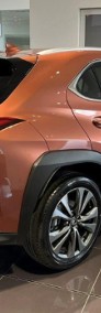 Lexus UX 300h F Sport Design 2.0 Hybrid Dynamic Force 300h F Sport Design 2.0-3