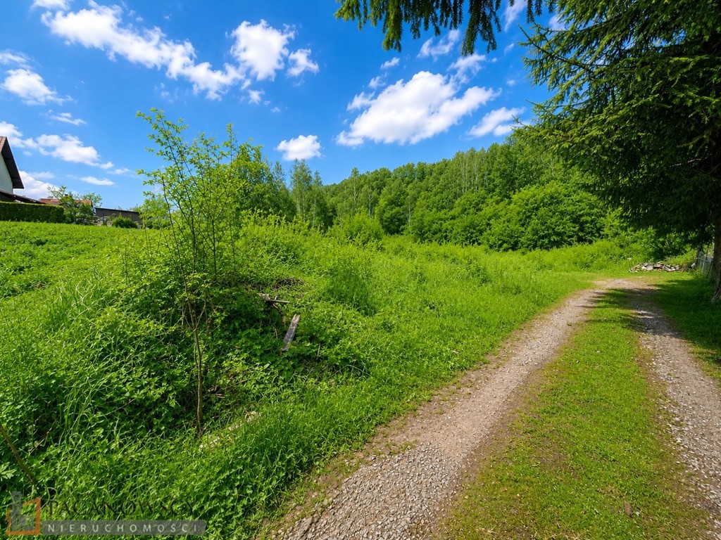 Działka na sprzedaż, 1639 m², Skała Szczodrkowice - Widok 3
